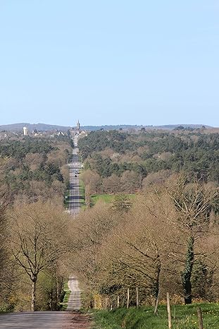 GAVAUD, P. (2013). Beignon, porte sud de Brocéliande